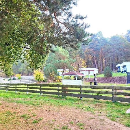 Villa Tiny House Ueckeritz Esterno foto